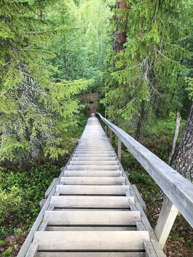 TMGD6618-768x1024 - Drakryggen