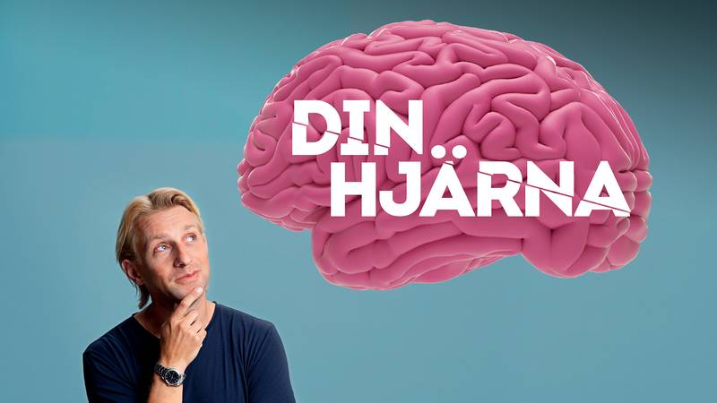 Din hjärna med Anders Hansen