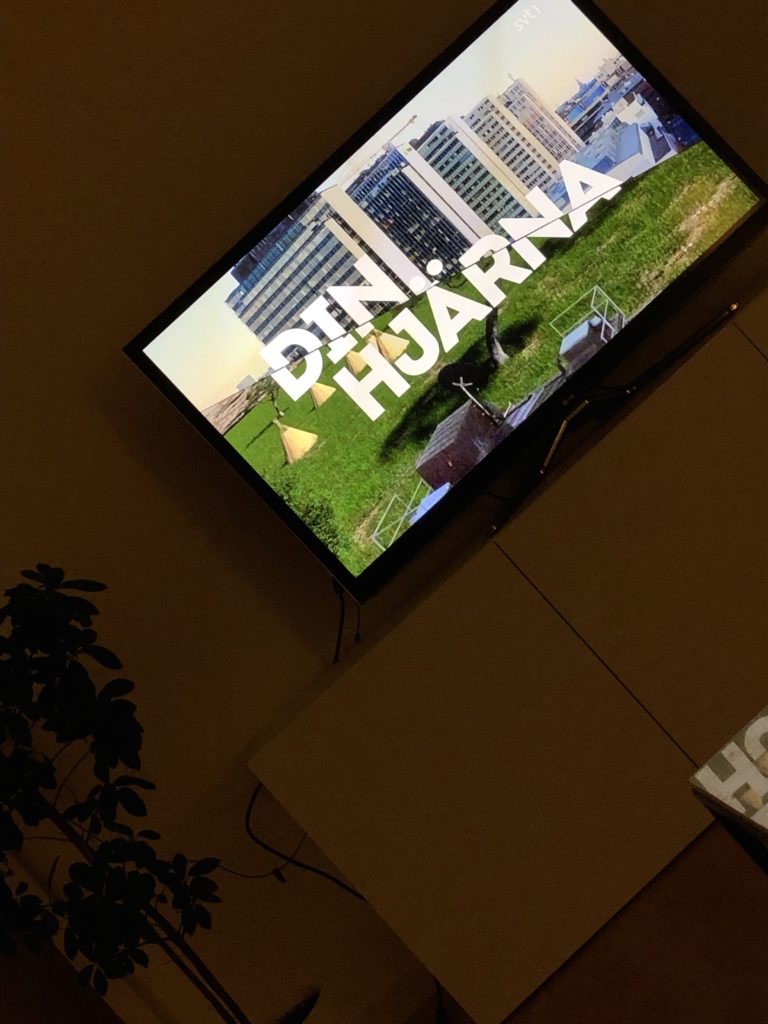 Din hjärna SVT play