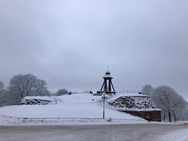 IMG_2293 - härlig lördag