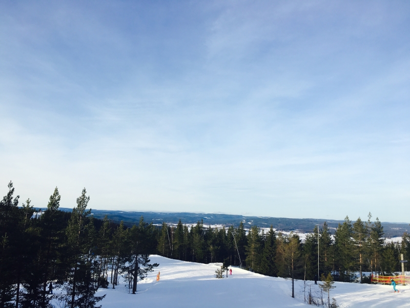 0122-5 - Skidhelg i Romme Alpin