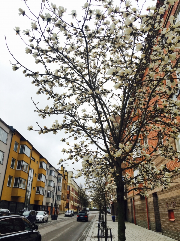 0425-4 - En vanlig och bra dag!