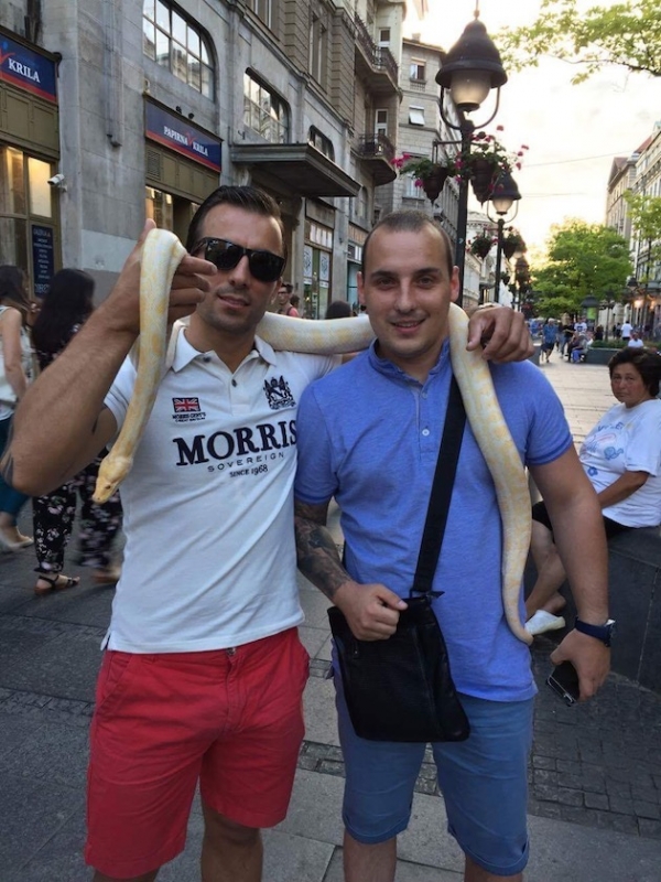 0614-2 - Det här händer i Belgrad!