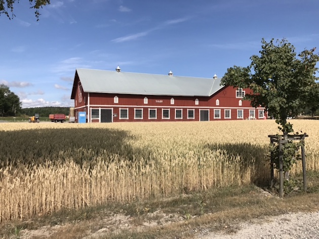 0724-11 - Handla närodlat på gårdsbutiken!