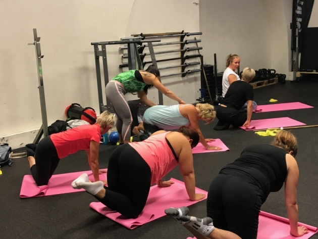 0831-2_0 - Corestyrka