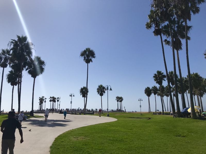 1003-8 - Venice Beach!