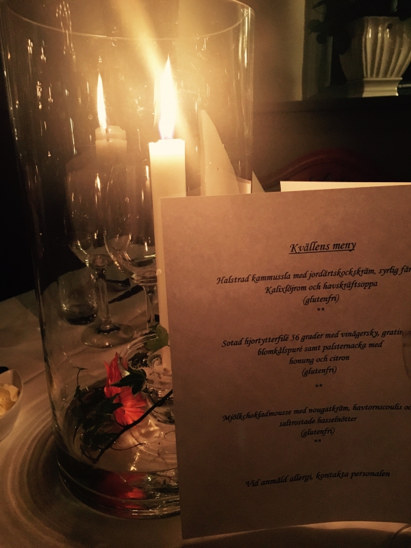 20161104-3 - Sundbyholms slott