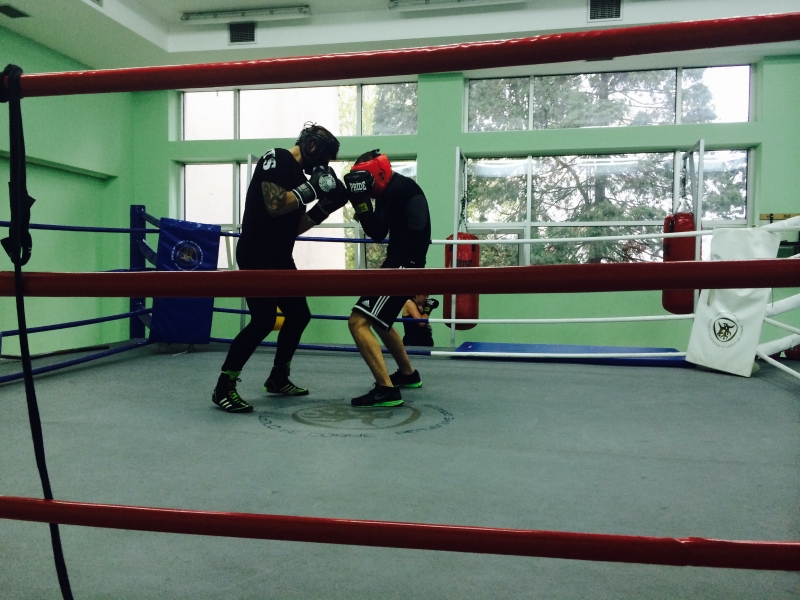 20161115-1 - Att förbereda sin träning