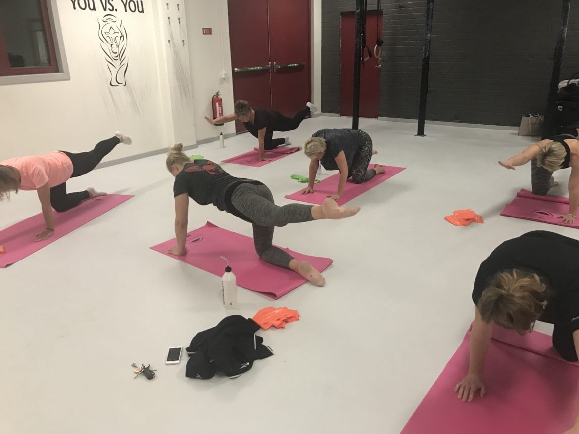 38C91547-A0F8-4CDF-A461-3AC600EB2AA5 - Corestyrka träning