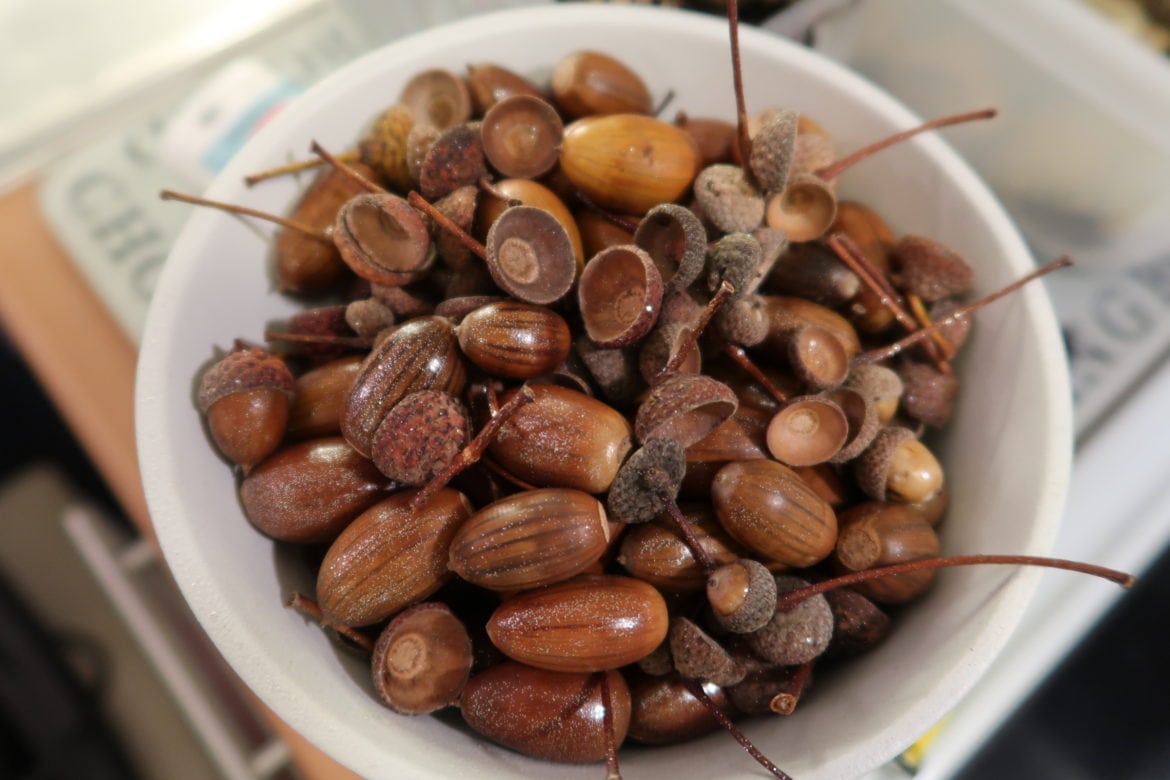 ekollon - Fest pyssel - DIY