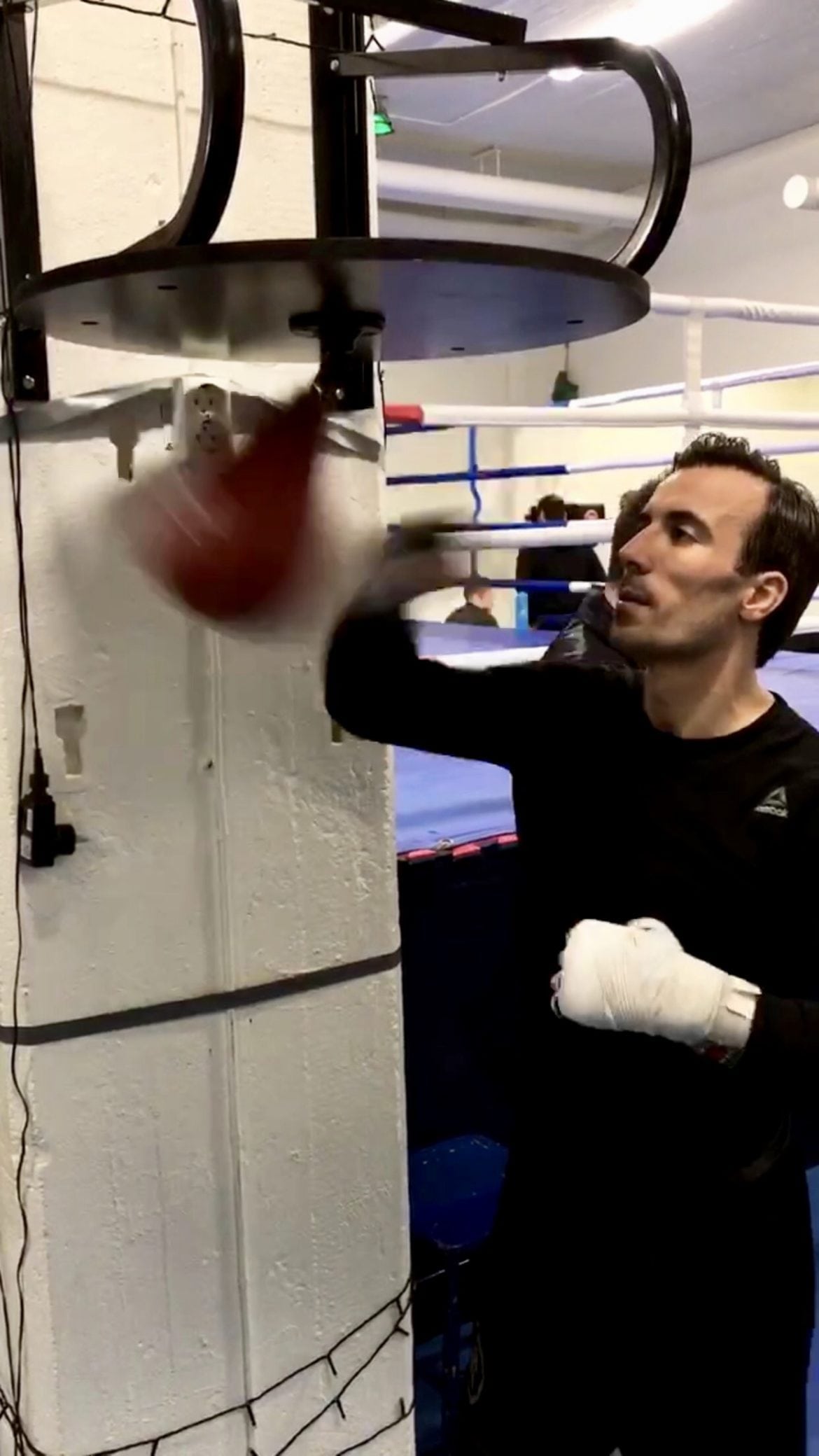 milo1 - Helgen i bilder