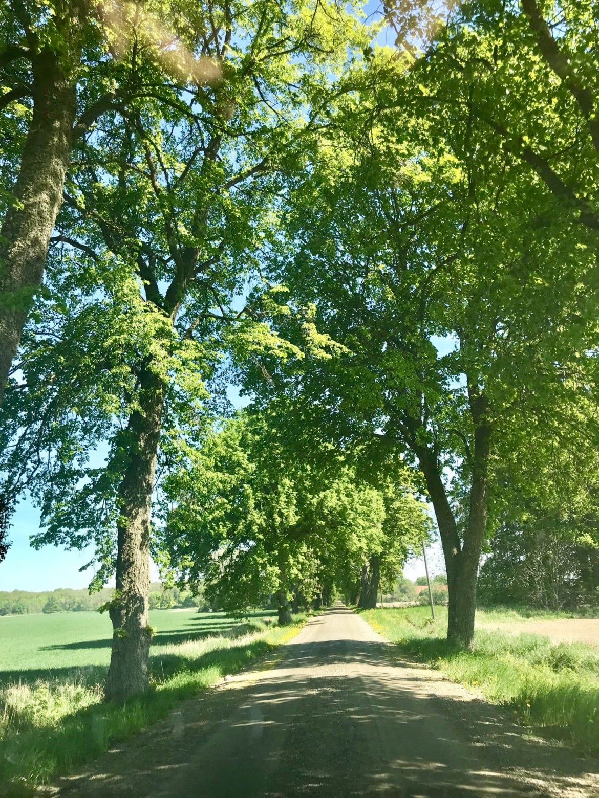 natur2 - Att kunna jobba utomhus