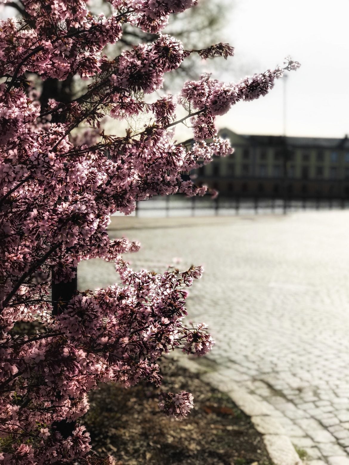 pw-301apr - Promenad i naturen