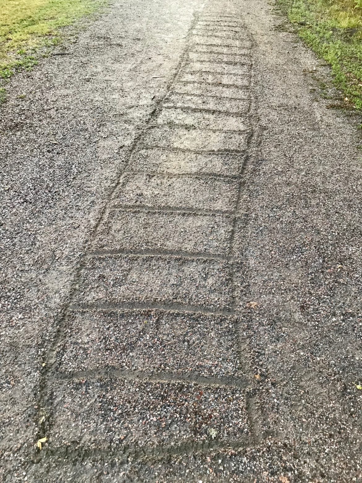 träning5 - Träning: Gårdagens dubbelpass