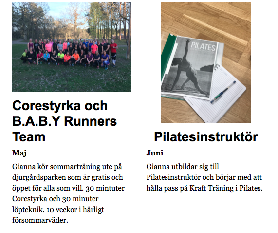 Skärmavbild-2018-12-31-kl.-12.38.23 - Årets höjdpunkter 2018