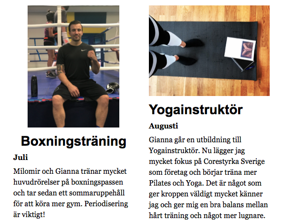 Skärmavbild-2018-12-31-kl.-12.38.49 - Årets höjdpunkter 2018