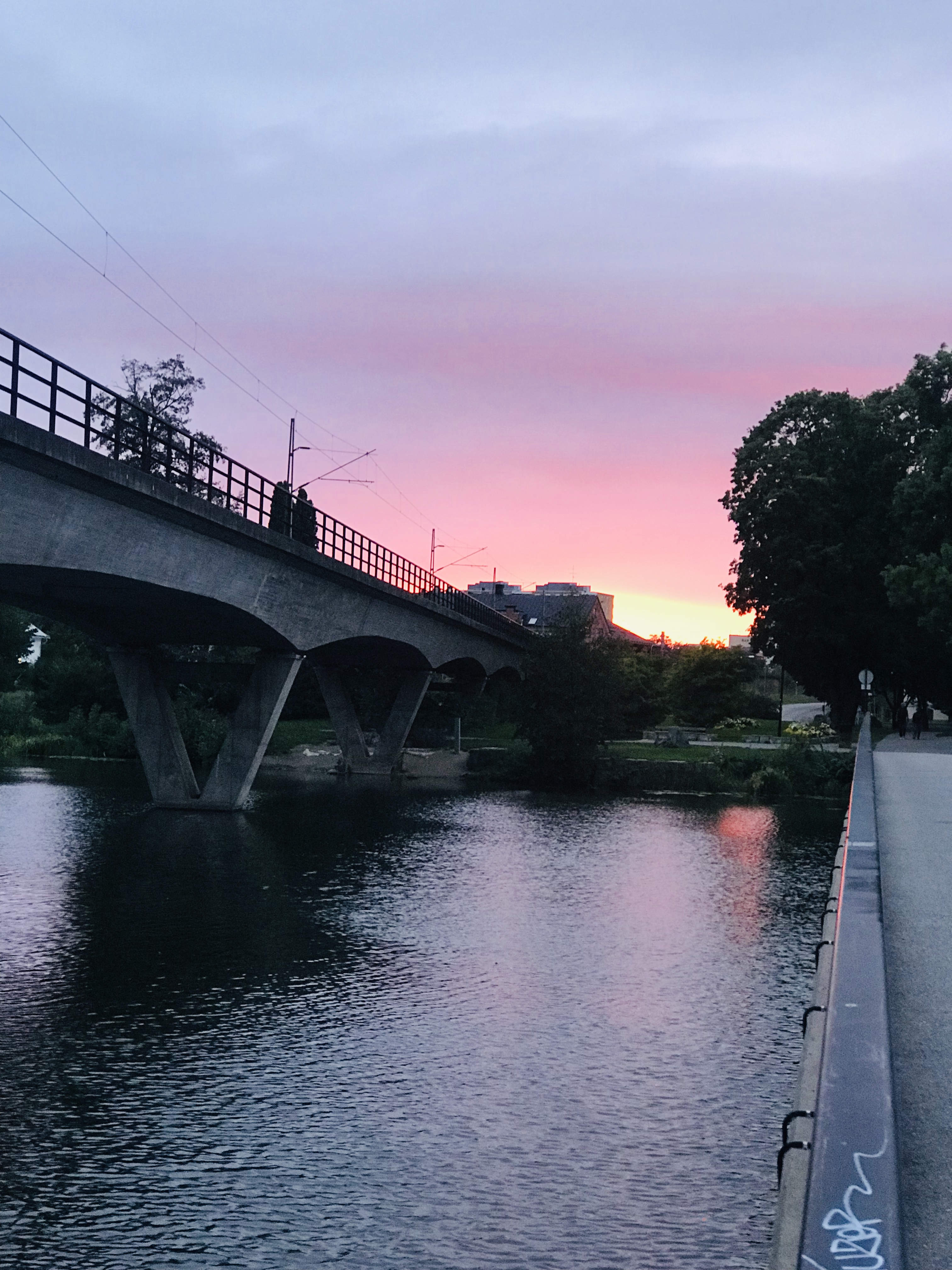 IMG_6441 - veckans lista