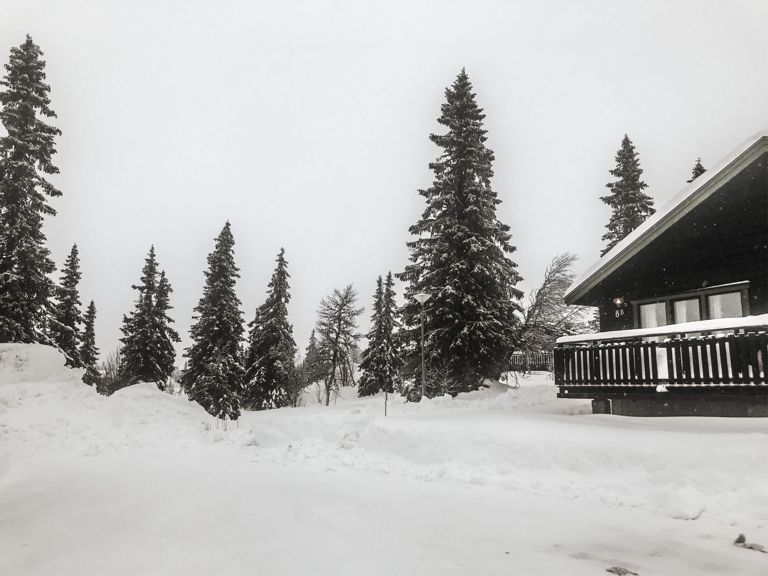 7A996175-346A-4447-B3BC-004E14F49A75-1-scaled - jul sälen