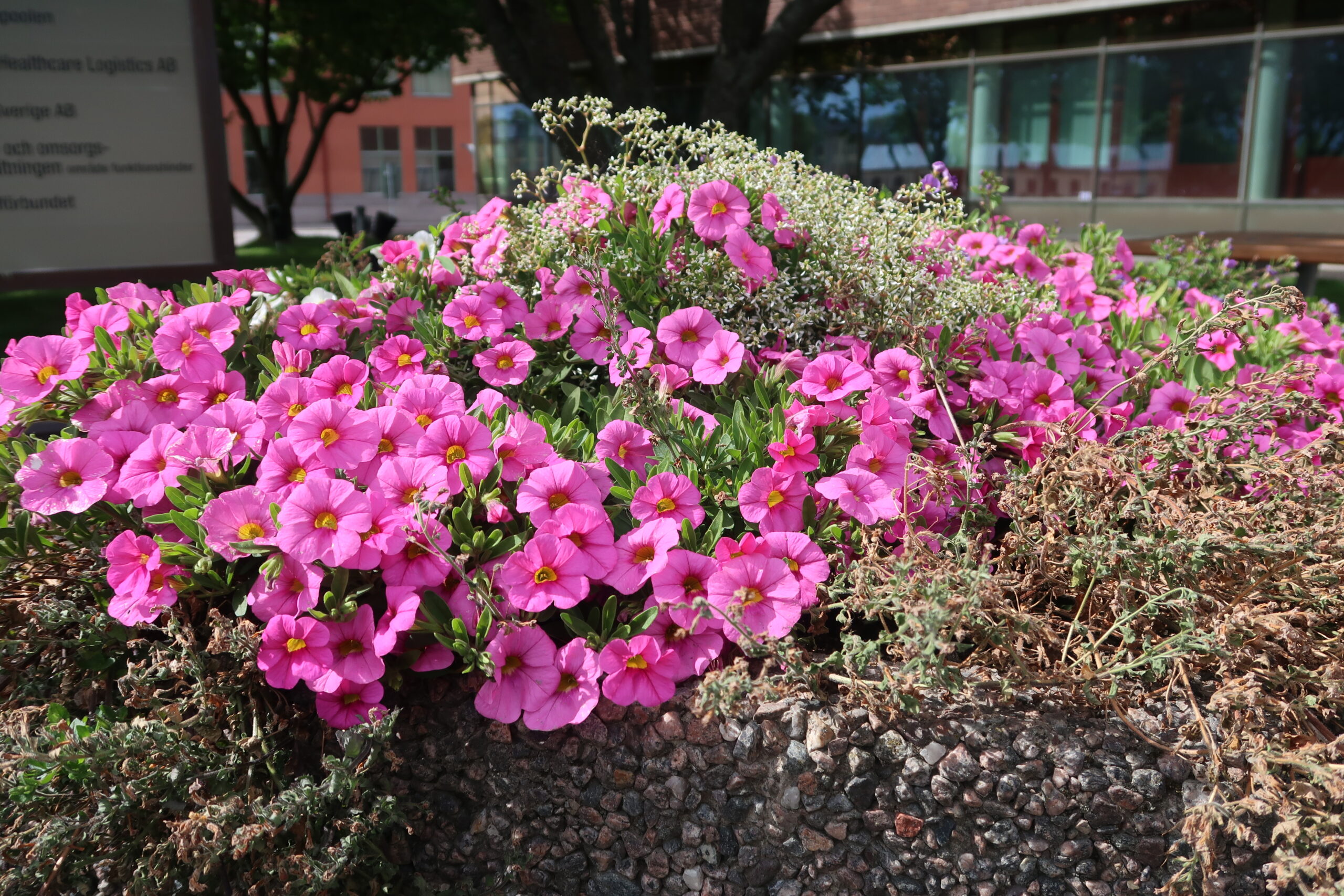 IMG_5378-scaled - Semesterns 5 budord