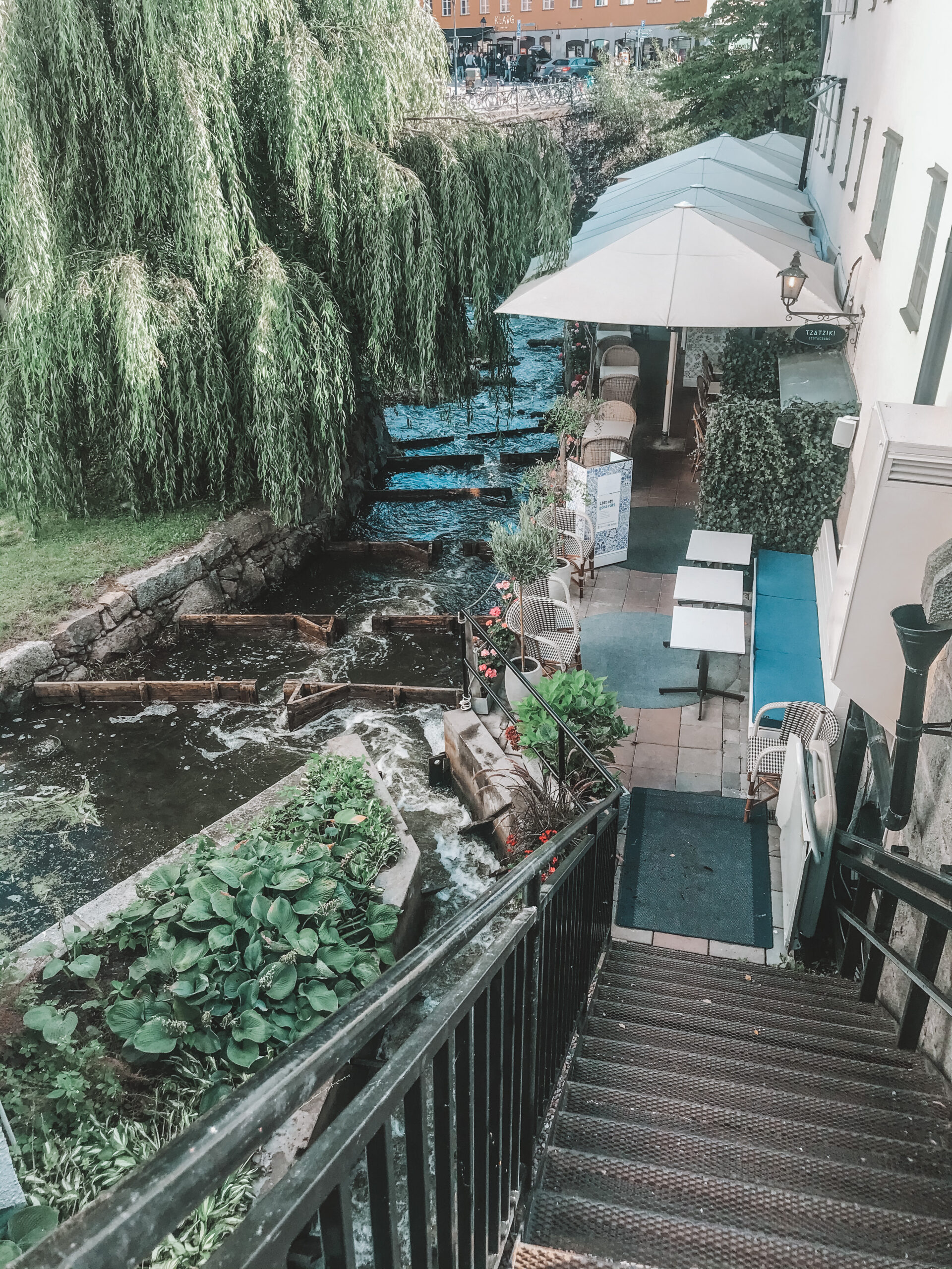 IMG_3153-scaled - back in biz