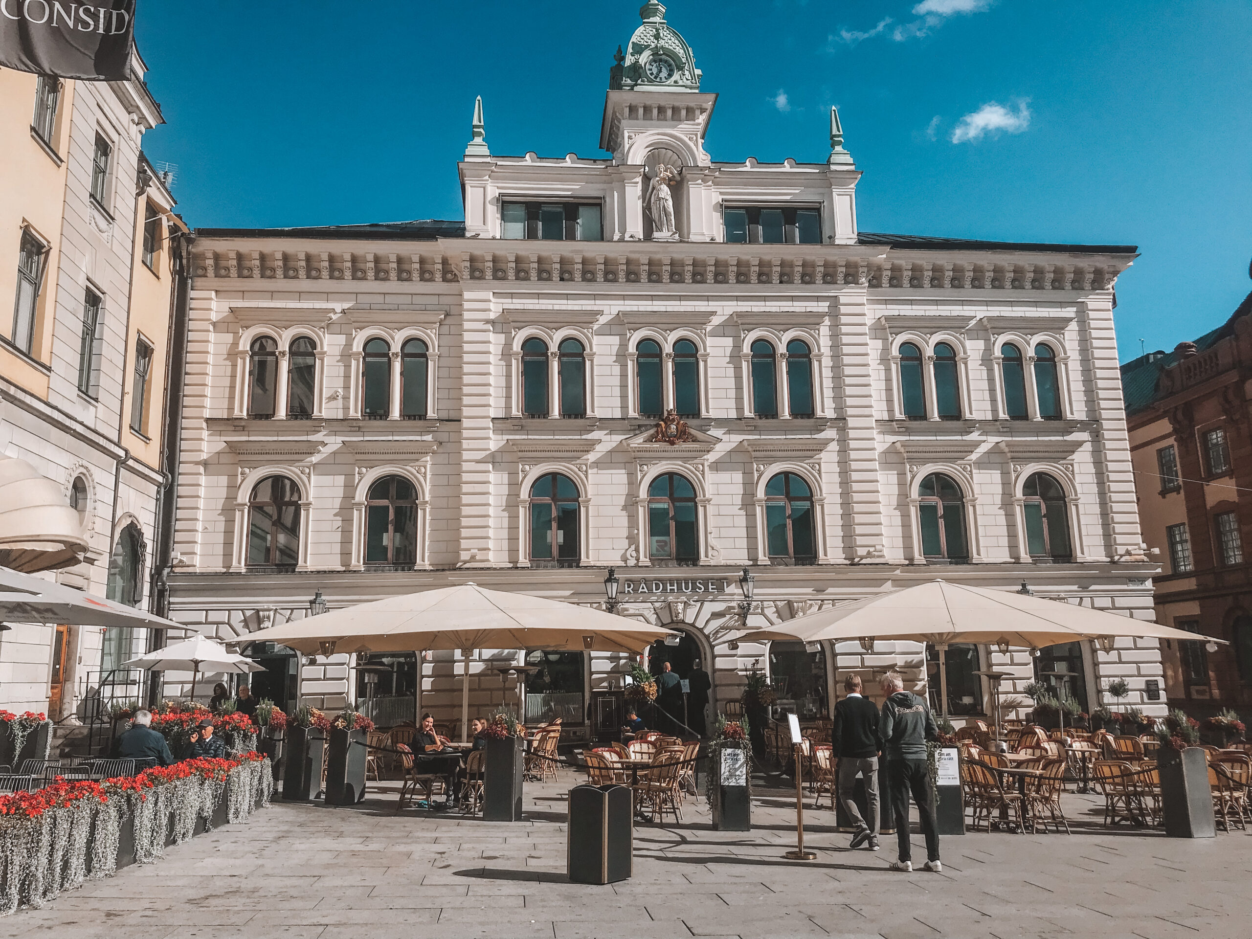 IMG_3156-scaled - back in biz