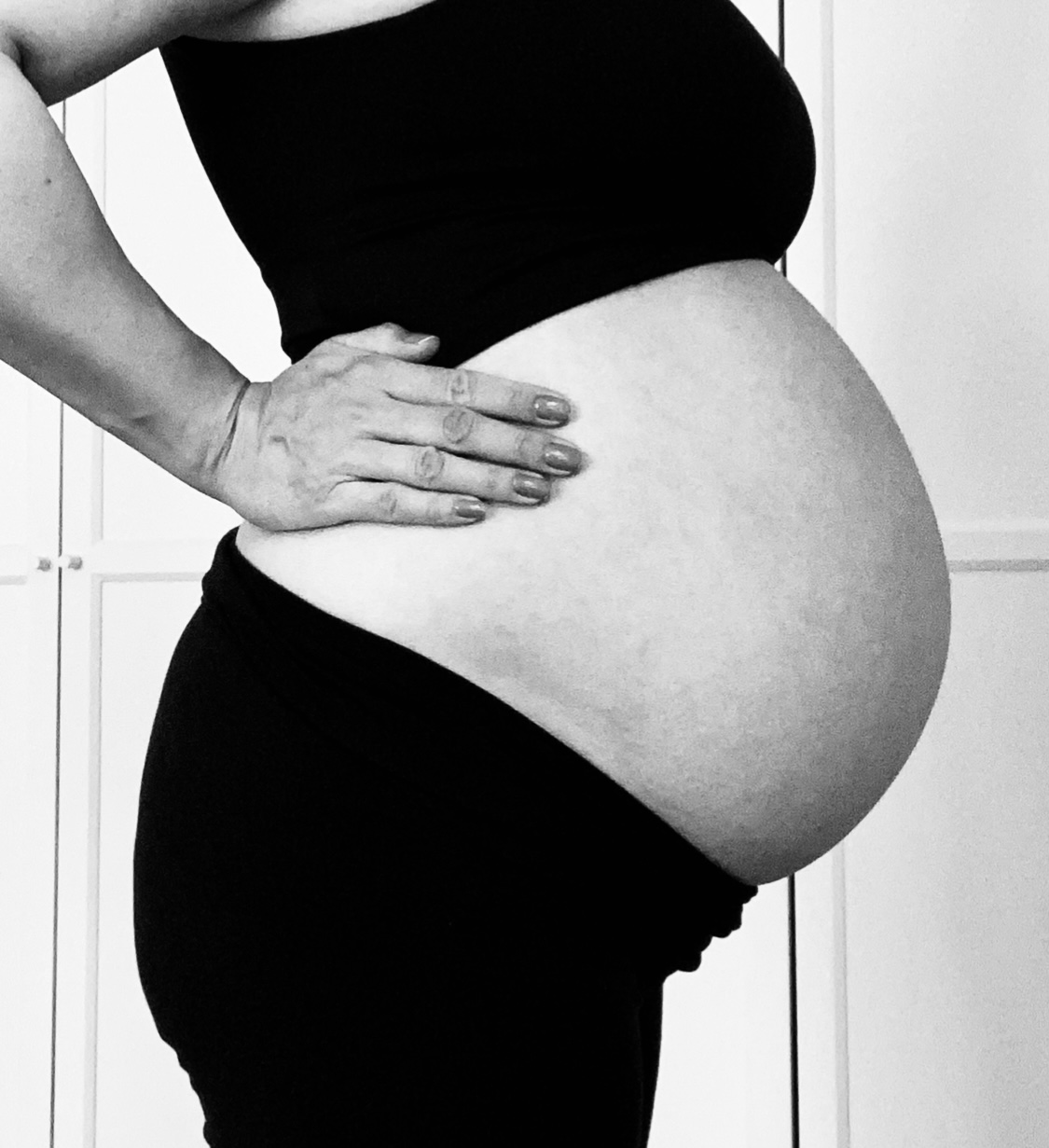 45AD89FE-9F90-4445-AED3-52BBCD1A497A - Gravid v 41