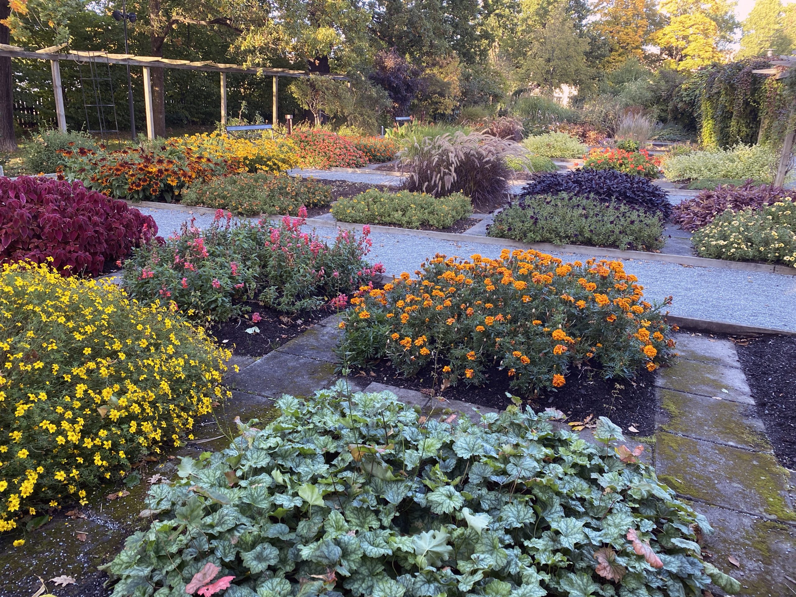 IMG_7485-scaled - Veckans lista