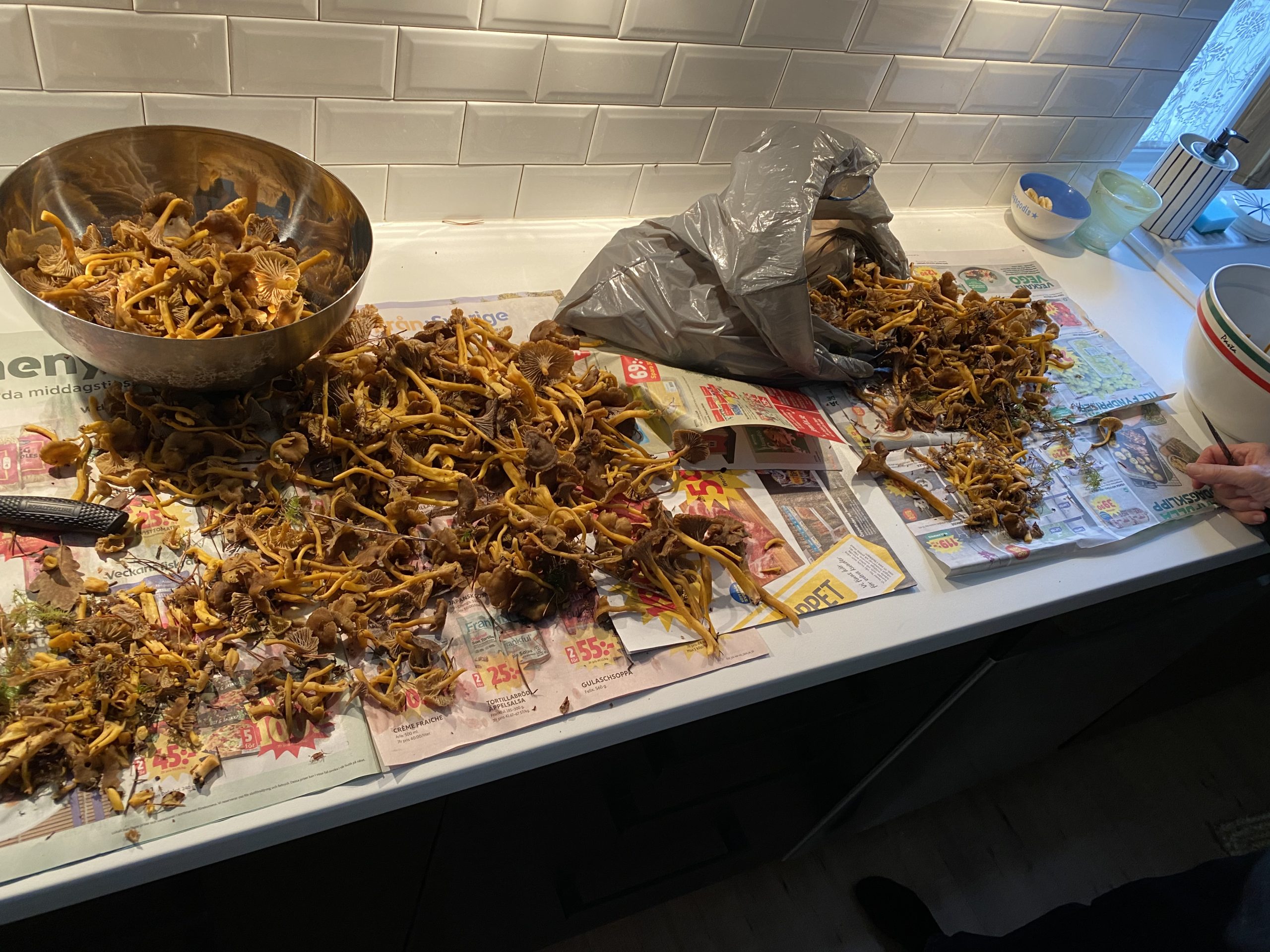 2B30765C-2635-4053-836E-F36305E2B590-scaled - naturen