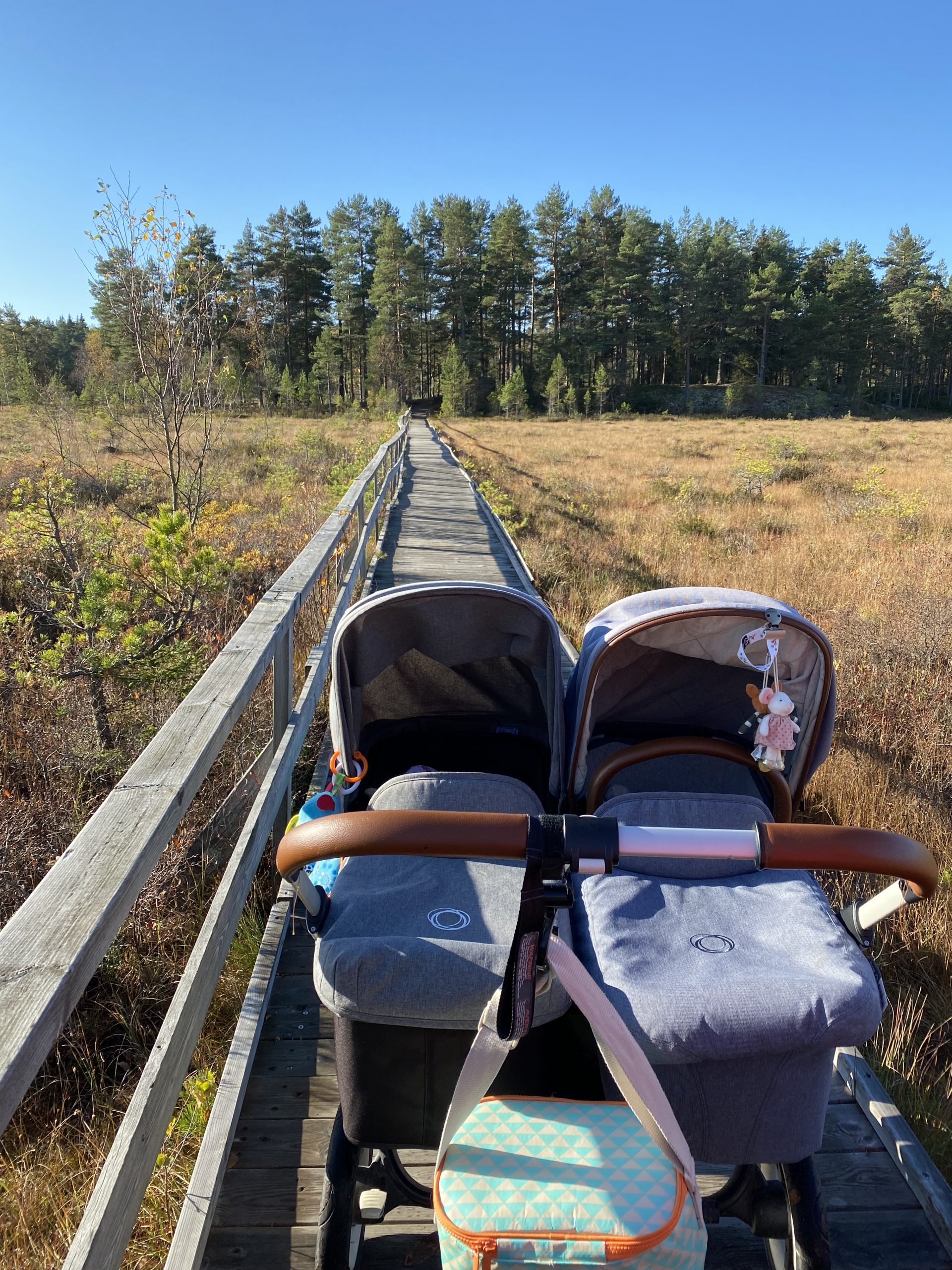 4108175F-A9D7-4F78-A681-38CE979319C2-scaled - naturen