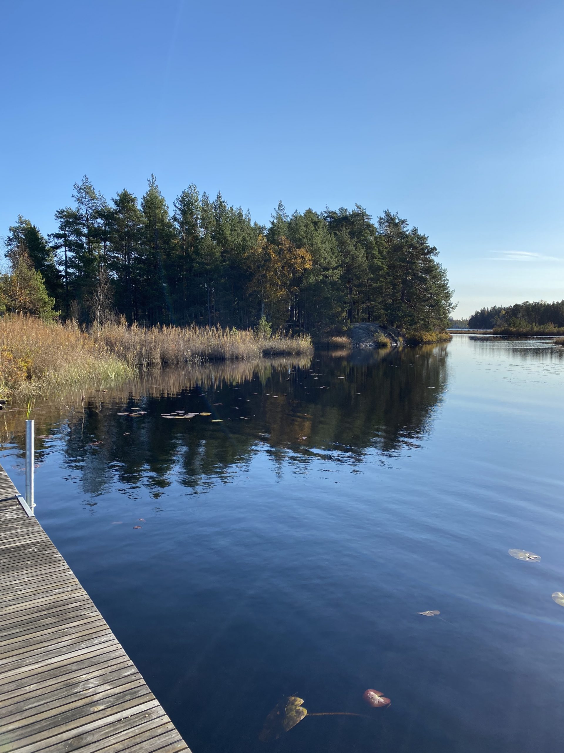 5E822E82-9924-41B4-874C-D0448F1F271C-scaled - naturen