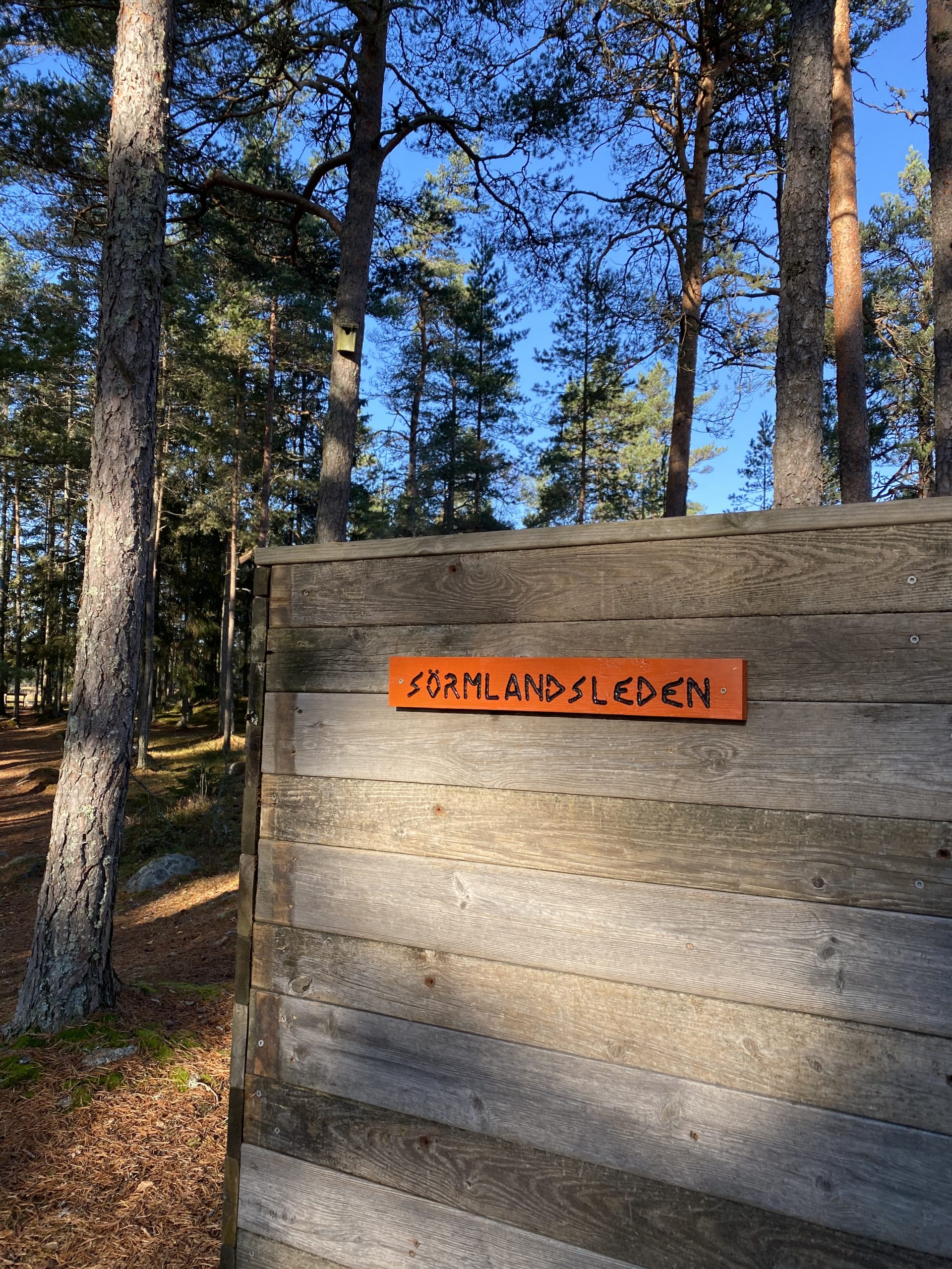 6170B4CB-DBB9-4C16-935F-AD2F39AAF351-scaled - naturen