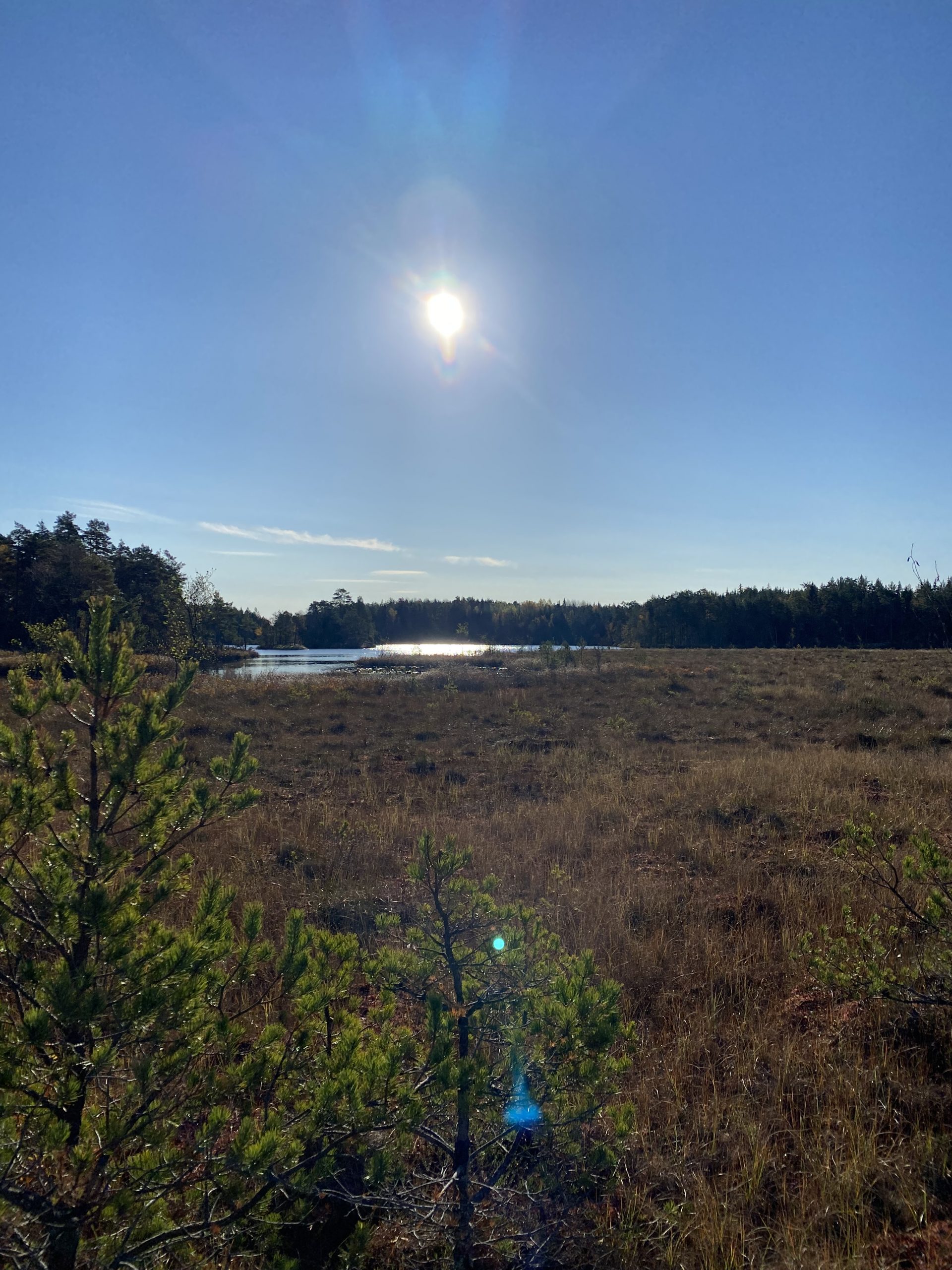 6BF725C3-5866-442C-8409-11B736E0D230-scaled - naturen