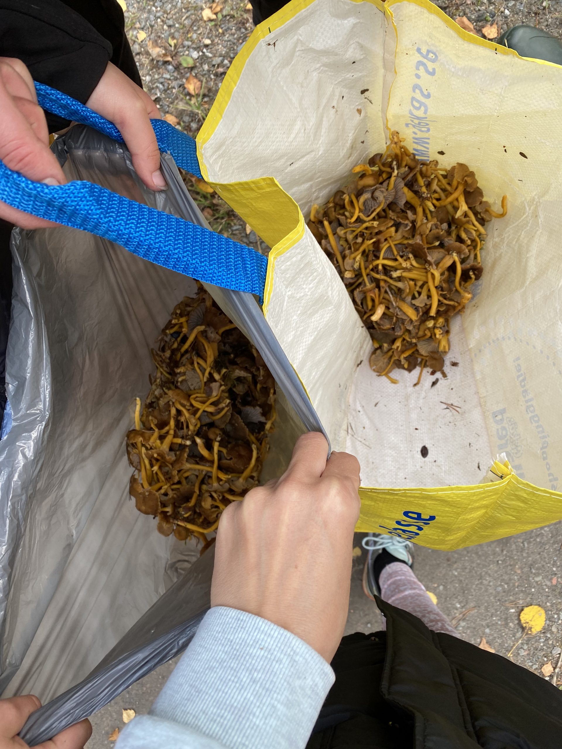 AC12ACB8-EC0B-46FD-BEF7-C2E5313B2A19-scaled - naturen