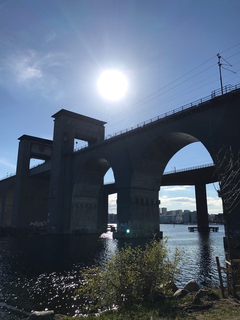 IMG_0523 - Långa promenader är toppen för hälsan!