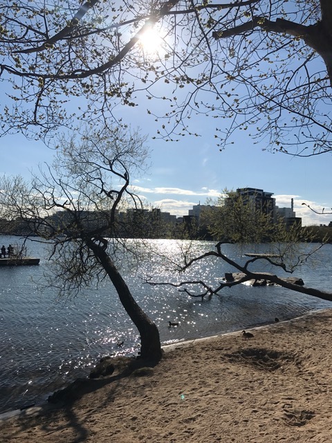 IMG_0527 - Långa promenader är toppen för hälsan!