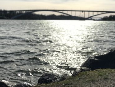 IMG_8336