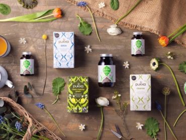 17637238_650106988526288_1128166498137766512_o