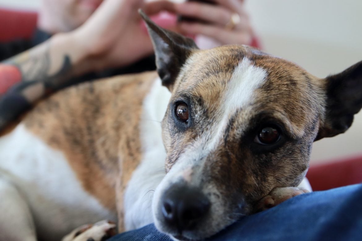 7585935072_IMG_1171 - Sommarlista 2018 – ett tillfälle att tänka till