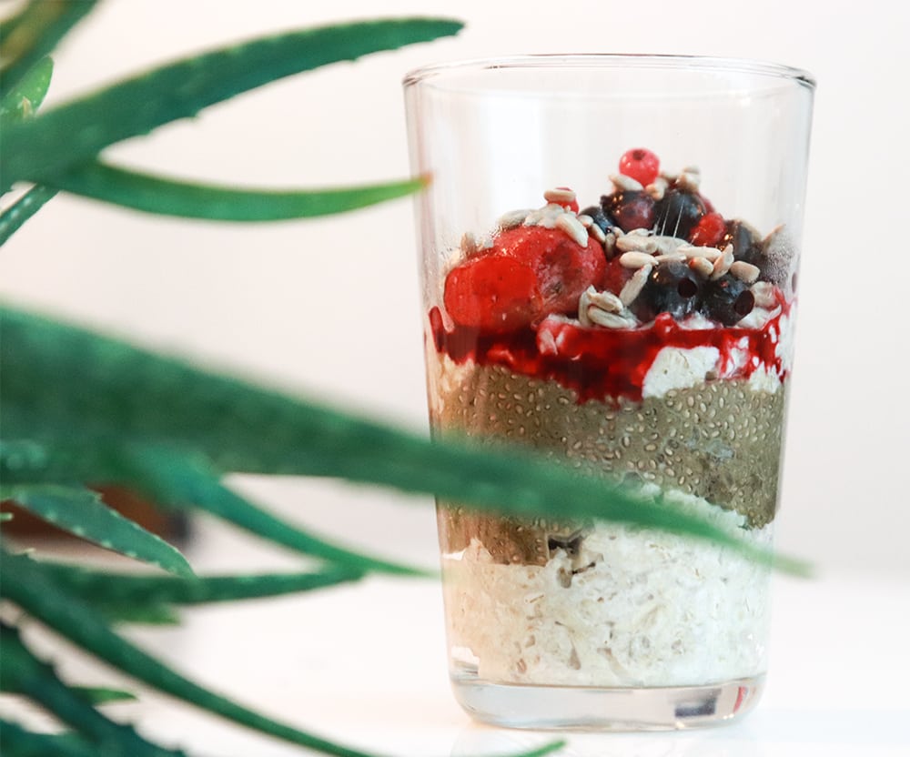 aloe vera chiapudding