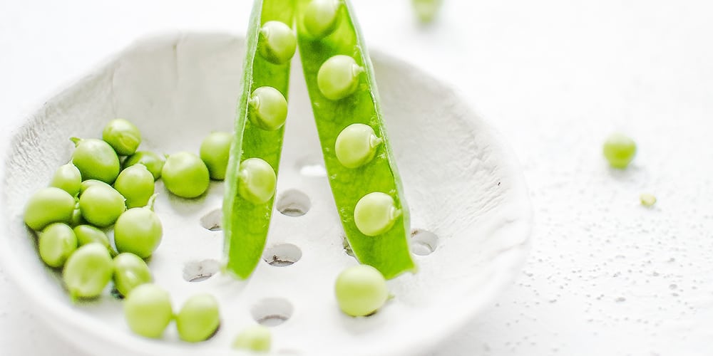 vegansk proteinkälla