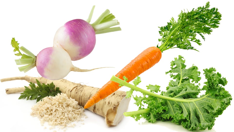 medic - Naturens apotek bjuder på medicin