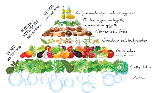 raw-food-pyramid - Grönt är skönt och rått är gott?