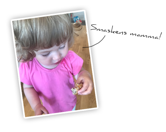 smask - Sockerfria muffins – perfekta till utflykten