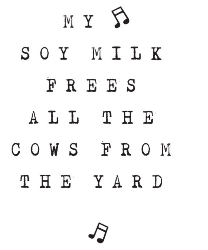 img_20190113_1005591950386271892816440 - veganska alternativet till mjölk