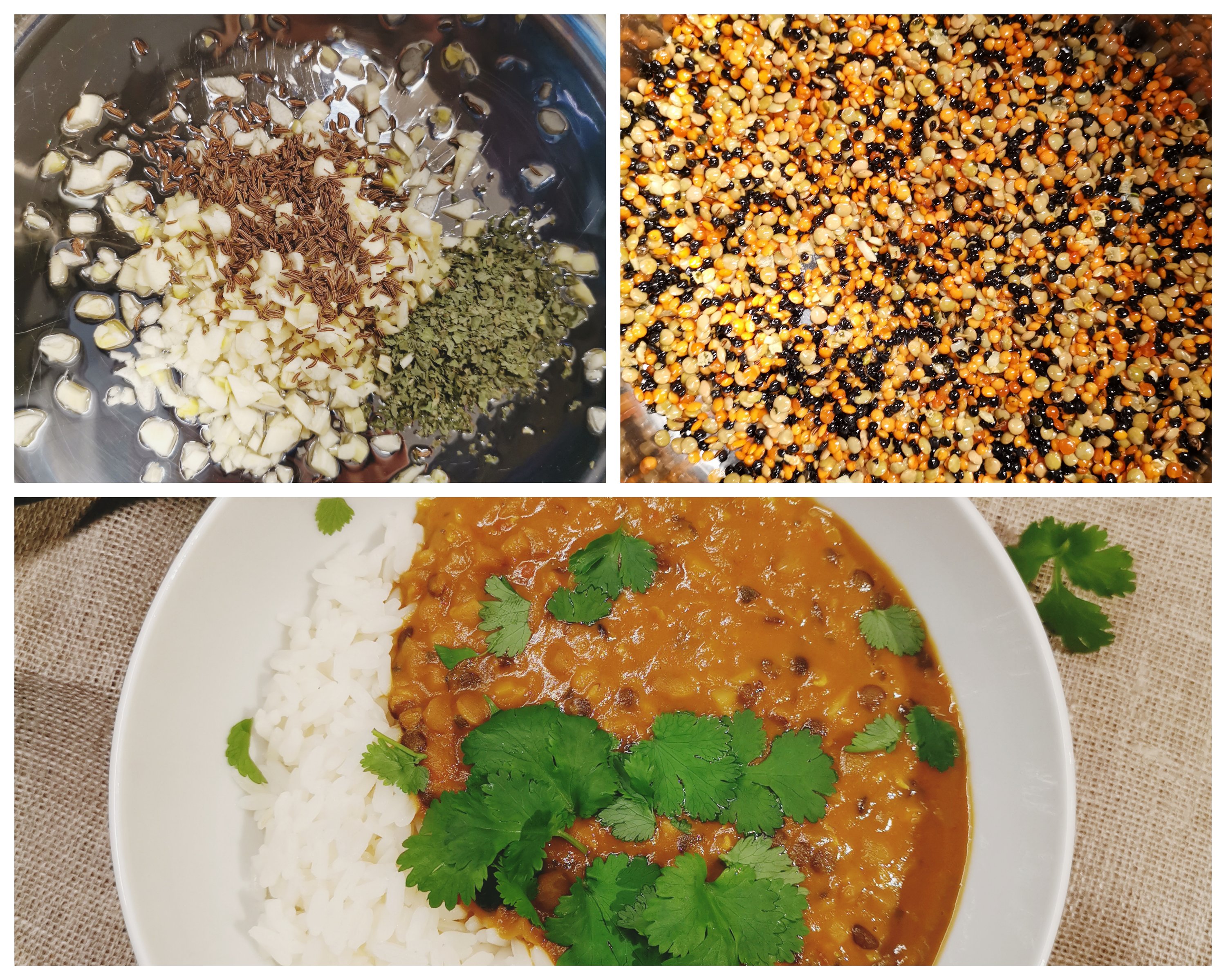 collagemaker_20190219_122123557600026332320973792 - vegansk indisk gryta