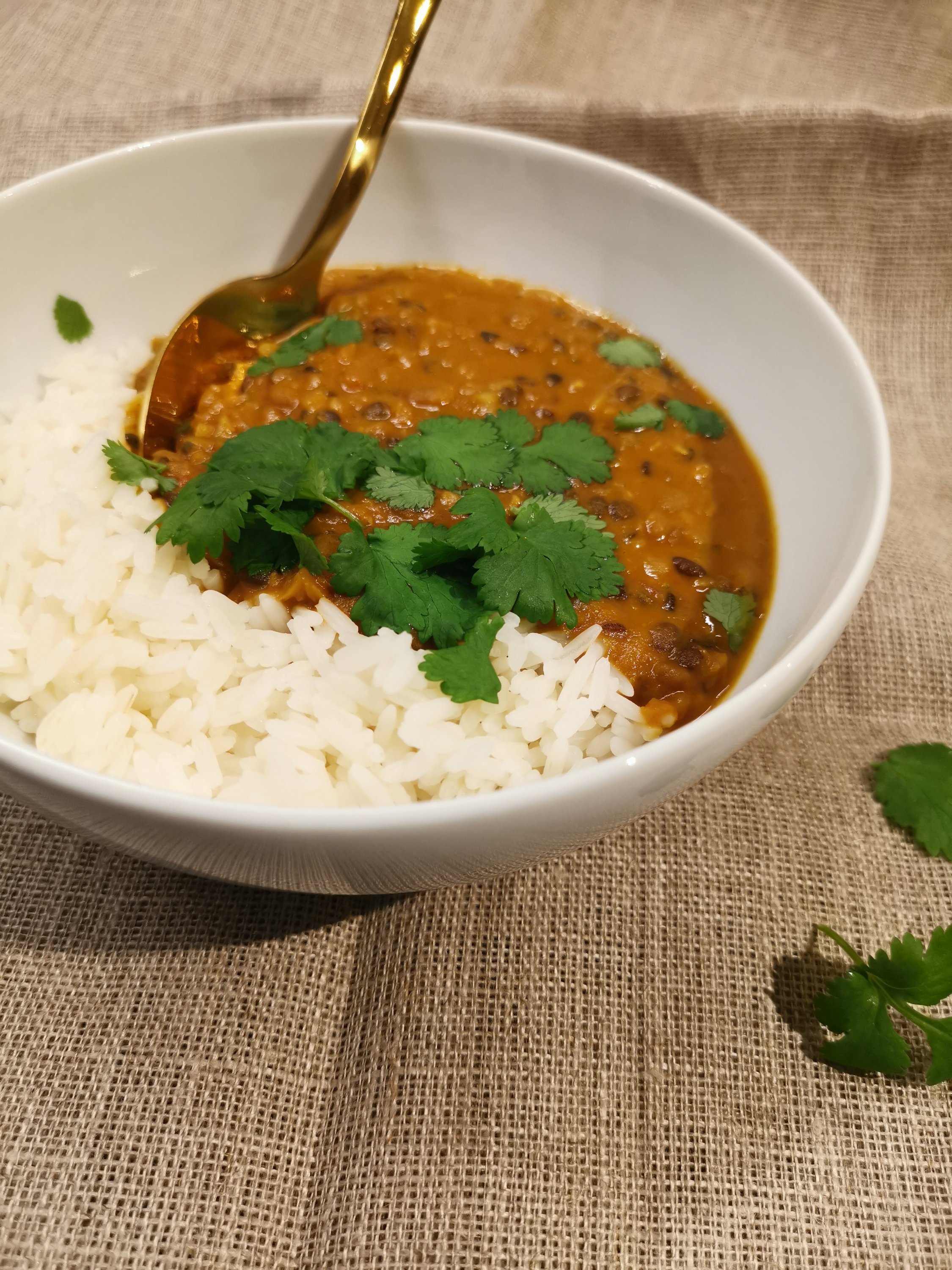 vegansk indisk gryta