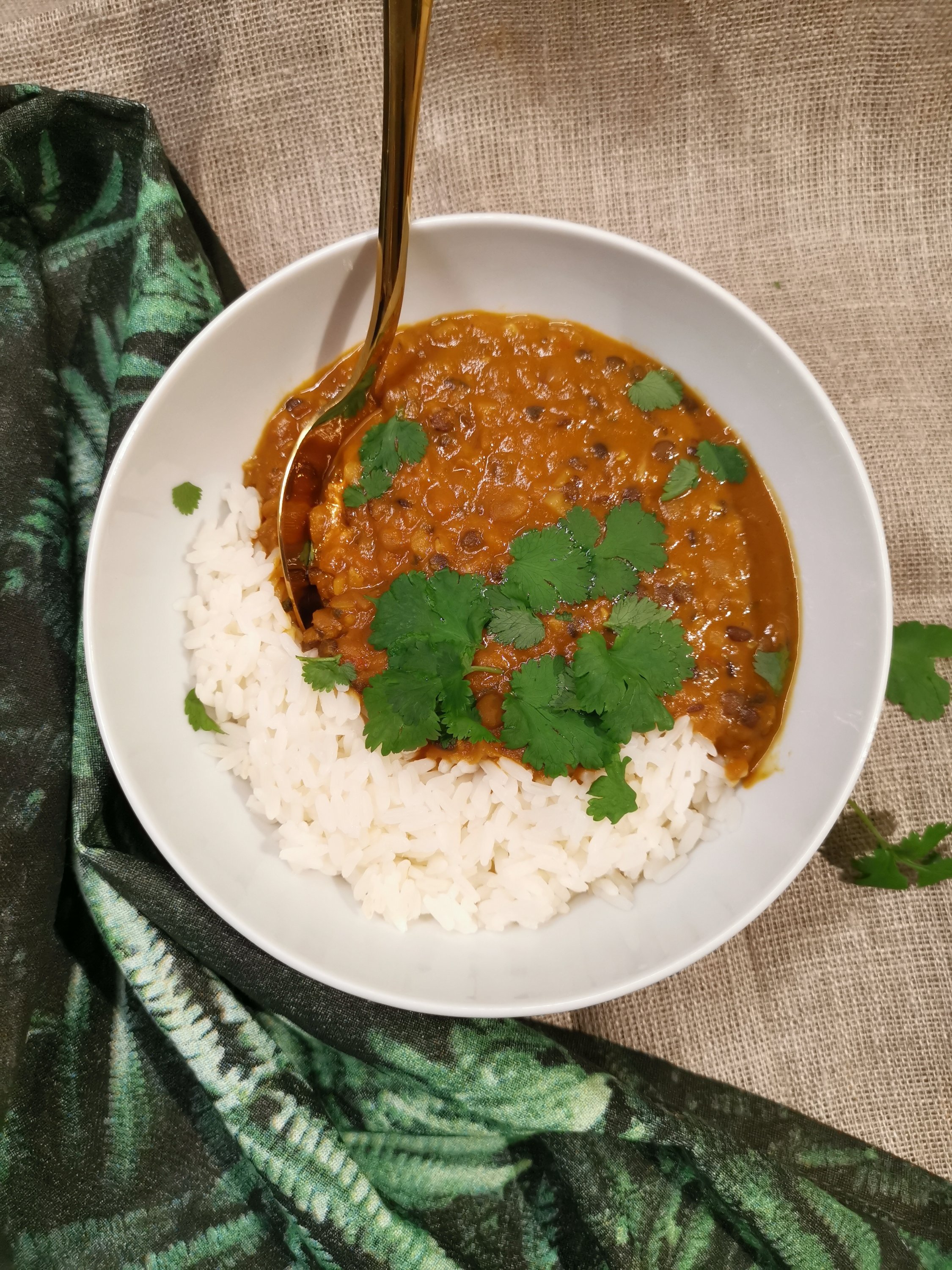 vegansk indisk gryta