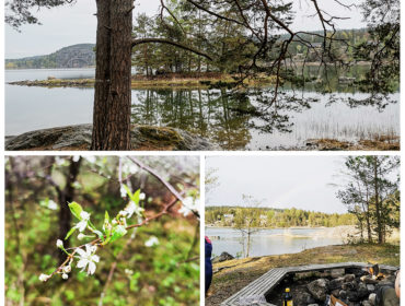 CollageMaker_20190524_165713612_resized_20190525_043004127