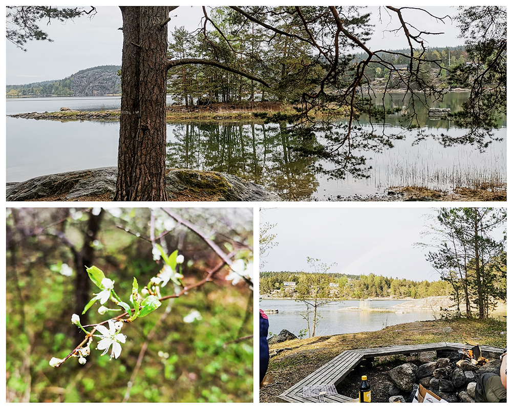 CollageMaker_20190524_165713612_resized_20190525_043004127 - Förra helgens tältning i skogen. Där man mår som bäst