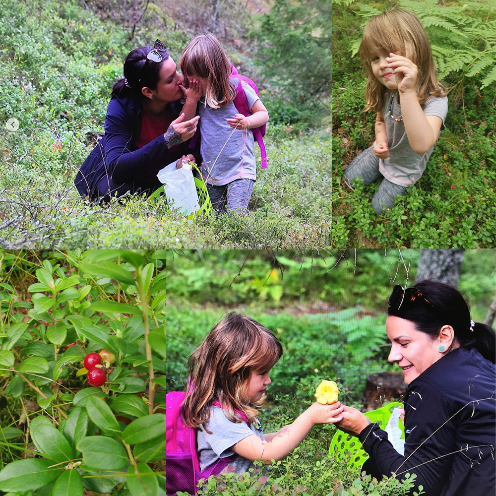 chiasylt bärplock utö
